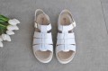 DSC_0208.JPG
